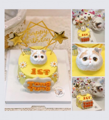 貓貓生日蛋糕